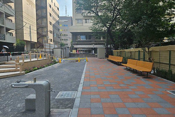 公園内のベンチと広場