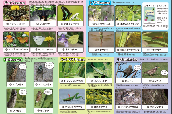 調査ガイド
