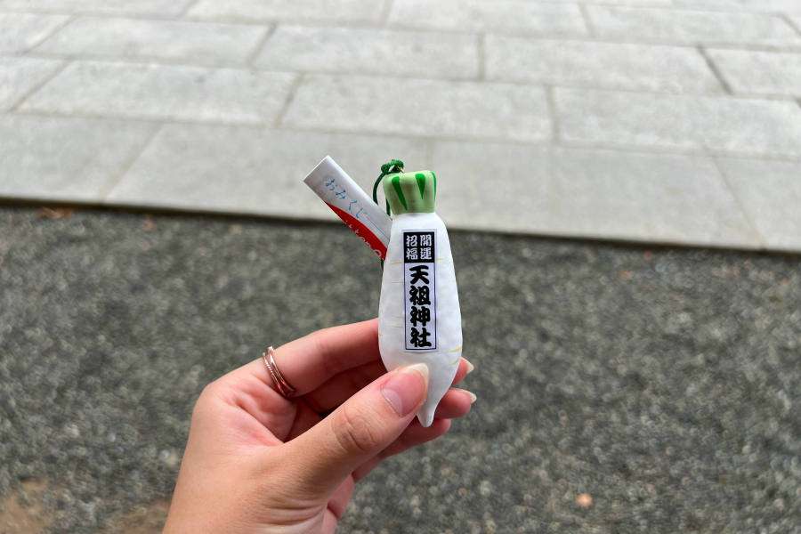 だいこんのアップの写真