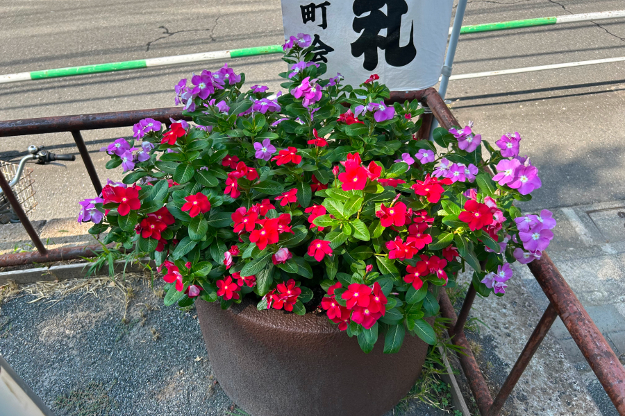 お花