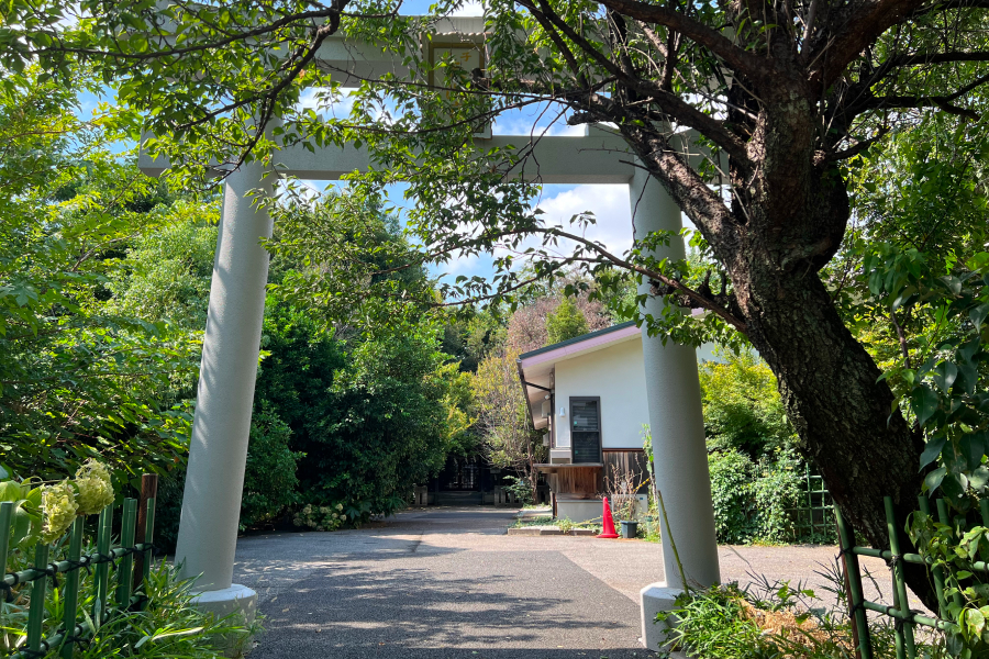 鳥居の写真