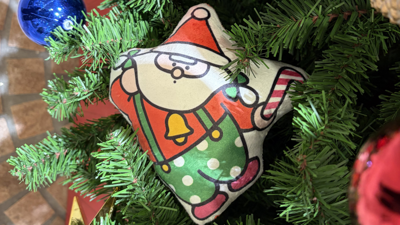 きまぐれサンタの写真。