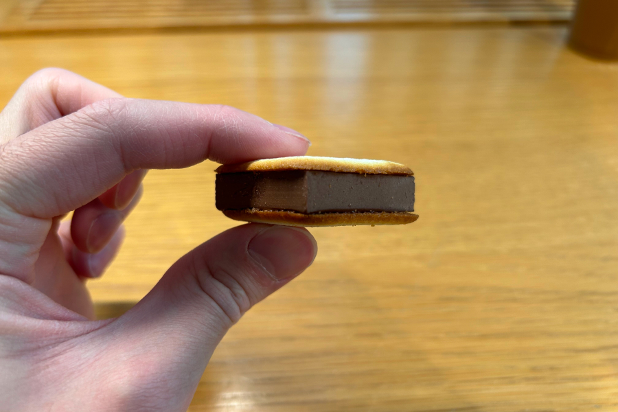 手に持ってみた。