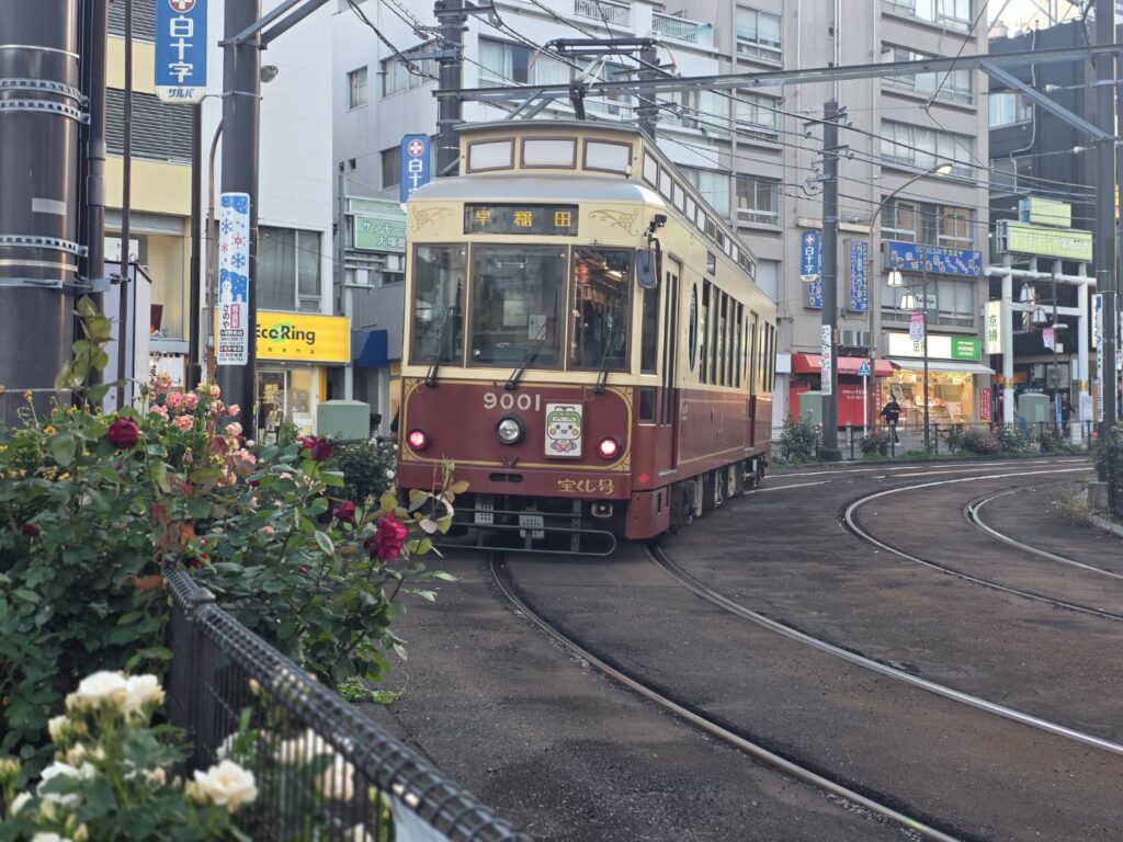 走行中の都電と沿線に咲くバラ